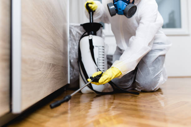 Best Termite Control Services  in Westfield, WI
