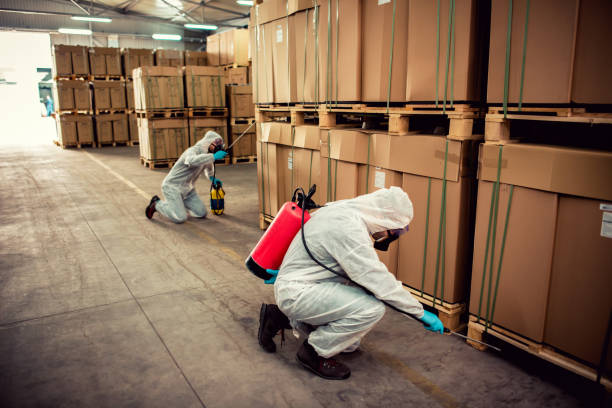 Best Termite Control Services  in Westfield, WI