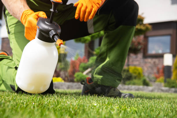 Best Pest Control for Homes  in Westfield, WI