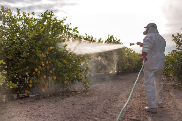 Best Residential Pest Control  in Westfield, WI