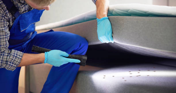 Best Mosquito Control Services  in Westfield, WI