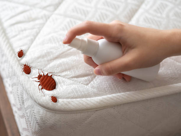 Best Pest Prevention Services  in Westfield, WI