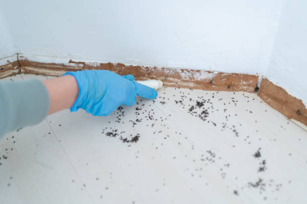 Westfield, WI Pest Control Company